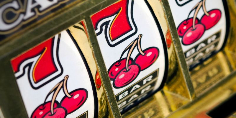 Tại sao nổ hũ Mèo phú quý lại thu hút người chơi dày dạn?